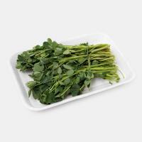 سبزی شنبلیله پاک شده