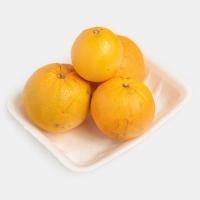 پرتقال تامسون شمال ممتاز