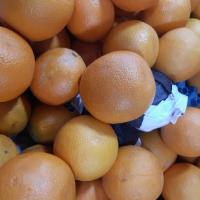 پرتقال والنسیا