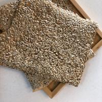 نان خشک آفتابگردان