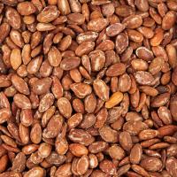 تخمه جابانی