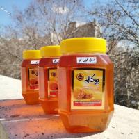عسل گون گز (یک کیلو)