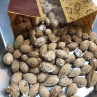 بادام شور با پوست (منقا) 500 گرم