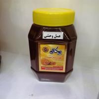 عسل زنبور وحشی ۱ کیلویی