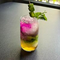 شربت خیار سکنجبین