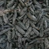 تخم آفتابگردان شمشیری