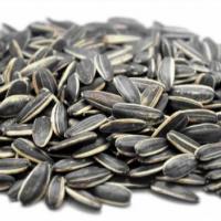 تخمه آفتابگردان دور سفید