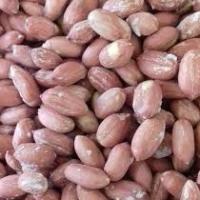 بادام زمینی آستانه