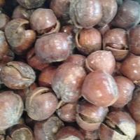 فندق ترش ایرانی