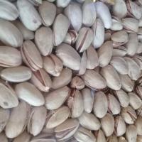 پسته اکبری خام دستچین