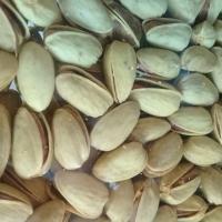 پسته اکبری شور