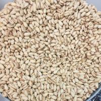 پسته اکبری درجه یک