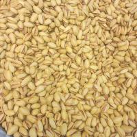 پسته اکبری شور دستچین درجه یک