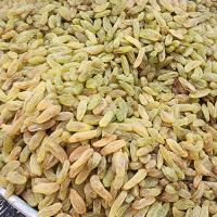 کشمش سبز درجه یک