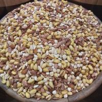 آجیل تهران شور