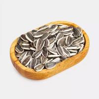 تخمه دور سفید خام اعلا