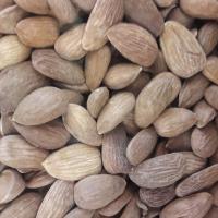 مغز بادام ایرانی