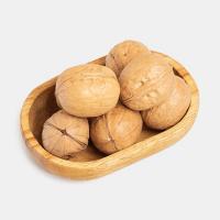 گردو با پوست ایراین تویسرکان