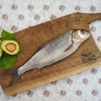 ماهی سفید انزلی