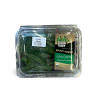 سورل عرفان گاردن