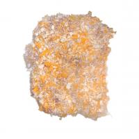 شنیسل مرغ پانکو