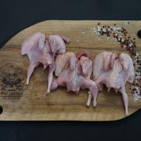 بلدرچین تازه