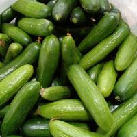 خیار اصفهان