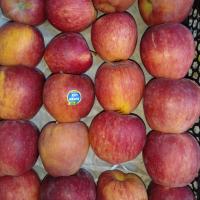 سیب قرمز اقتصادی