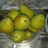 گلابی آفریقایی درجه 1