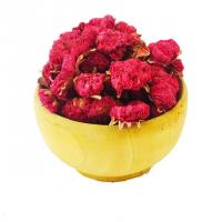 گلنار فارسی