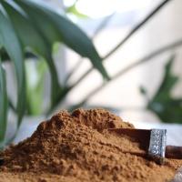 پودر دارچین