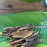 چوب دارچین قلم