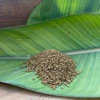 تخم شنبلیله