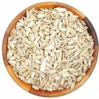 مغز آفتابگردان خام