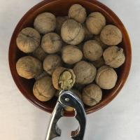 گردو با پوست درجه یک