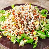 سالاد جوانه و قارچ