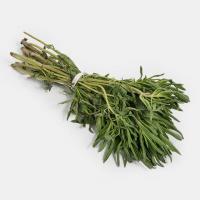 سبزی مرزه خشک شده