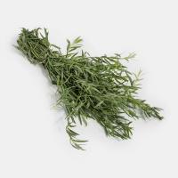 سبزی ترخون خشک شده