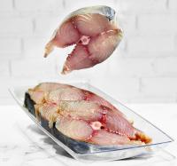 فیله شیر ماهی