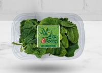 بیبی اسفناج دیلی