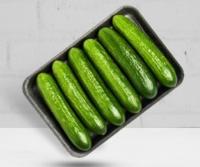 خیار گلخانه ای