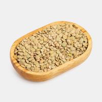 عدس گلستان