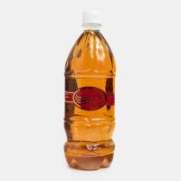 شربت سکنجبین