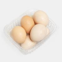 تخم مرغ محلی شمال زرده طلایی