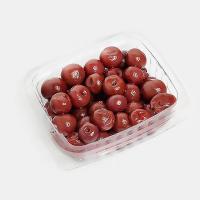 ترشی البالو