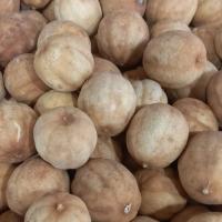 لیمو امانی جهرم