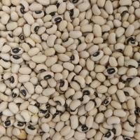 لوبیا چشم بلبلی