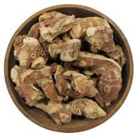 ریشه جوز