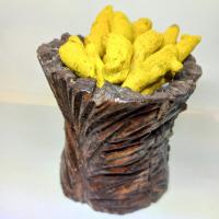 زردچوبه قلم