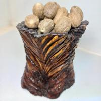 جوز هندی